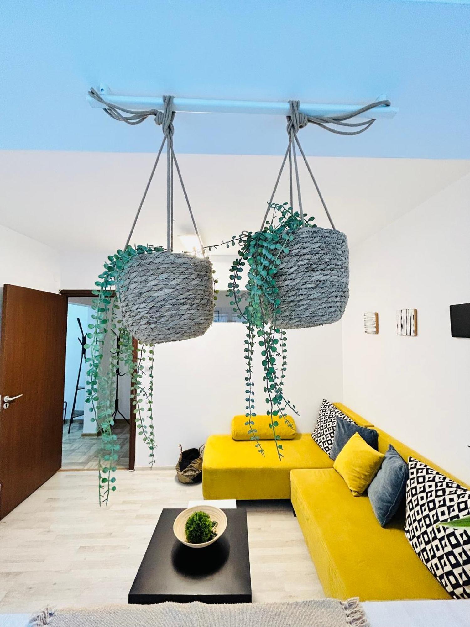 Alisz Apartments Temešvár Exteriér fotografie