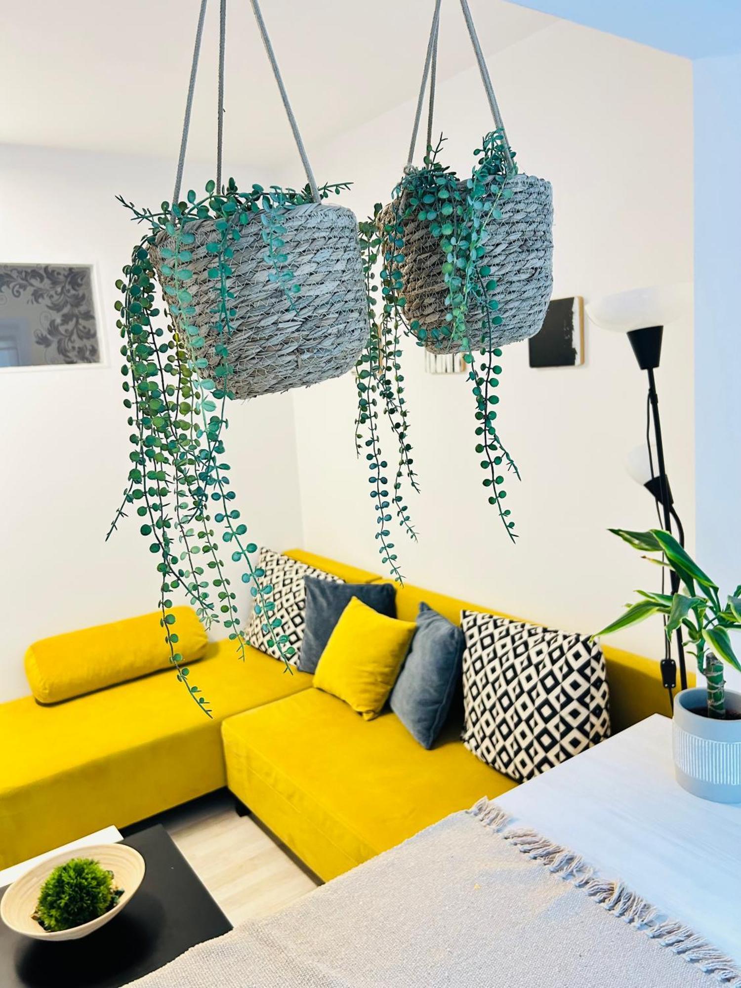 Alisz Apartments Temešvár Exteriér fotografie