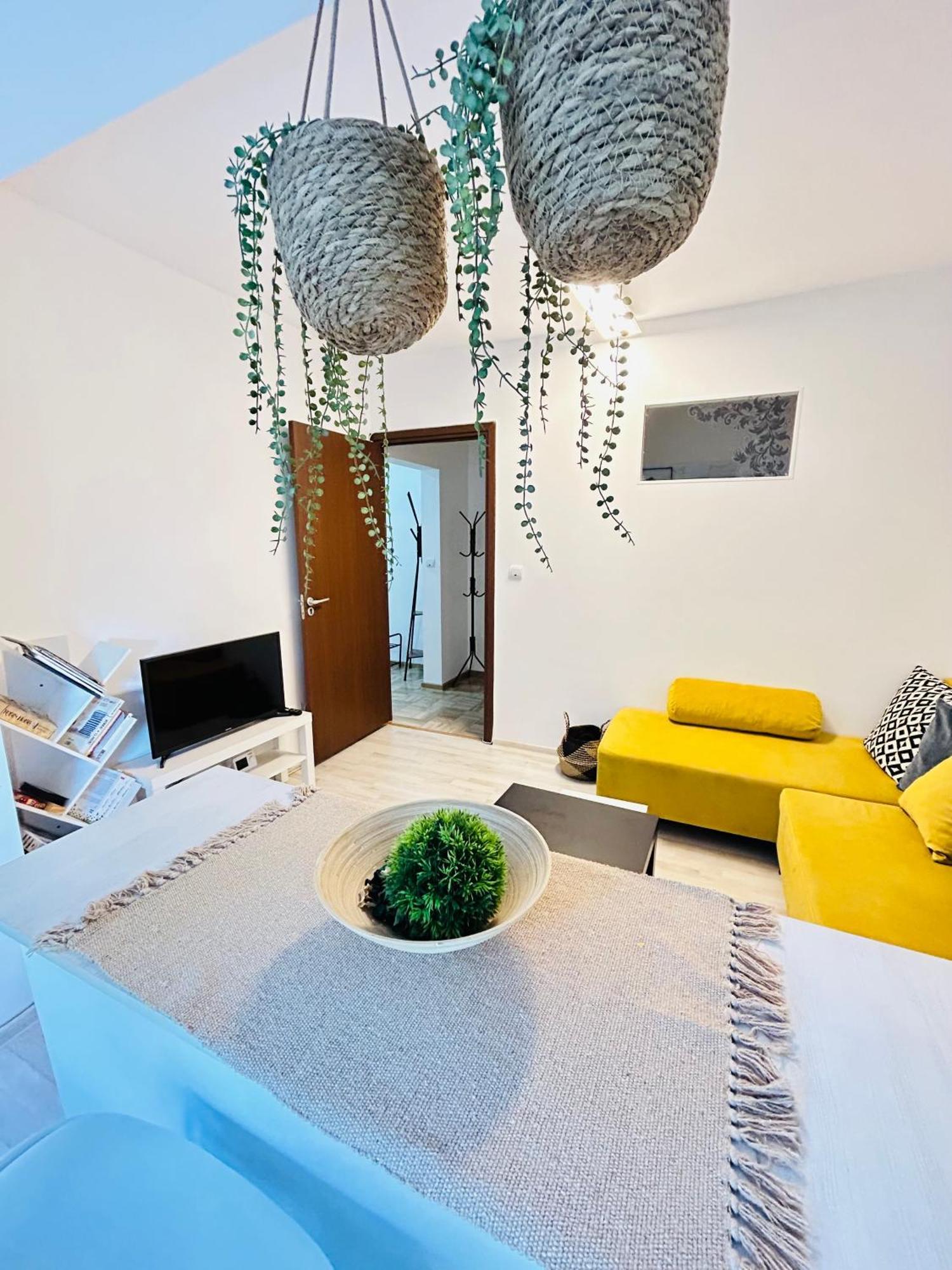 Alisz Apartments Temešvár Exteriér fotografie