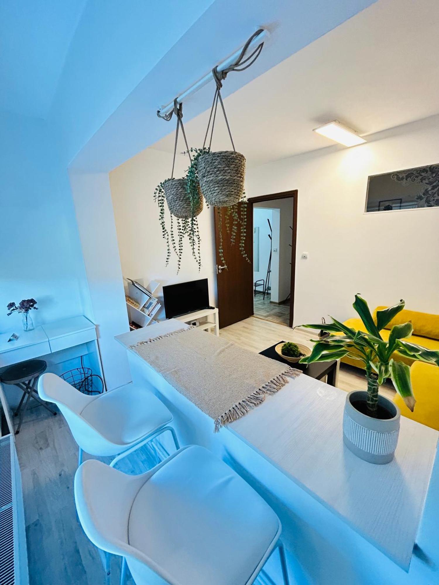 Alisz Apartments Temešvár Exteriér fotografie